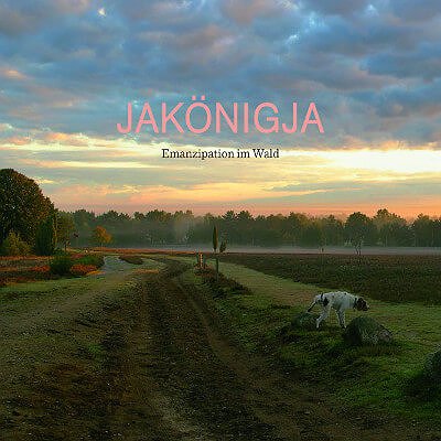 Was ist Musik - Emanzipation im Wald – E-Mail-Talk mit JaKönigJa II