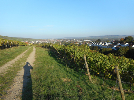 ByteFM: Tiefenschärfe vom 15.10.2015